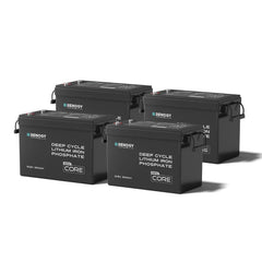 Renogy Core Mini 12V 300Ah Deep Cycle LiFePO4 Battery w/ Low-Temperature Protection