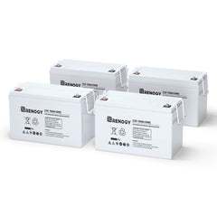Renogy 12V 100Ah Deep Cycle AGM Battery