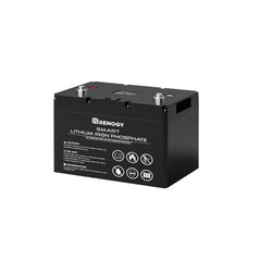 Renogy 12V 100Ah Smart Lithium Iron Phosphate Battery w/ Self Heating Function