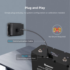 Renogy Monitoring Screen for Smart Lithium Battery