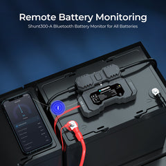 Renogy Battery Shunt 300 Remote Battery Monitoring
