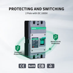 Renogy 160A 2P DC Molded Case Circuit Breaker