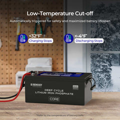 Renogy Core 24V 200Ah Deep Cycle Lithium Iron Phosphate Battery w/ Self Heating