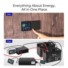 Renogy 12V 100Ah Smart Lithium Iron Phosphate Battery w/ Self Heating Function