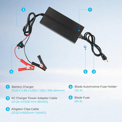 Renogy 12V 20A AC to DC LFP Portable Battery Charger