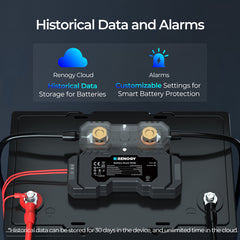 Renogy Battery Shunt 300 Remote Battery Monitoring