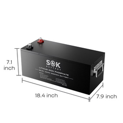 SK24V100 | SOK 24V 100Ah LiFePO4 Battery