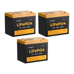 BougeRV 12V 100Ah Group 24 Solar LiFePO4 Battery