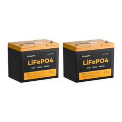 BougeRV 12V 100Ah Group 24 Solar LiFePO4 Battery